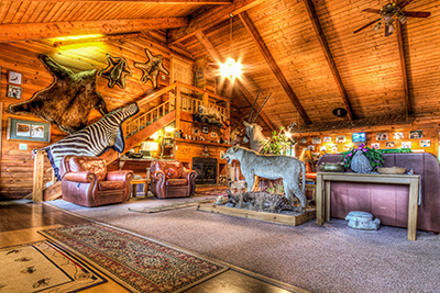 living room view of Angry Eagle Lodge